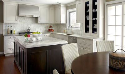 Fully Transitional Kitchen Cabinets