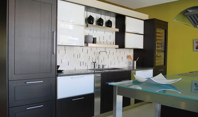 Contemporary Kitchen Cabinets in Simplicity