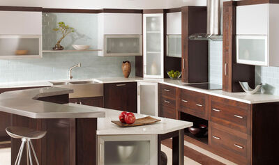 Kitchen Cabinets with a Distinct Modern Look